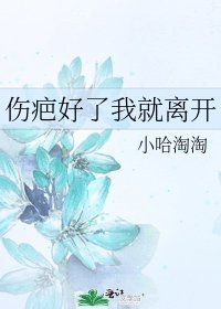 傷疤好了我就離開