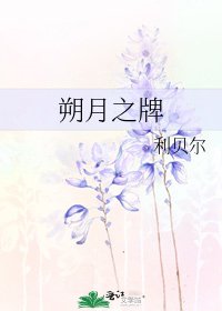 朔月之牌